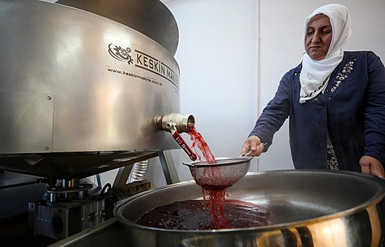 Devlet Desteği, Kadınların Gücüne Güç Katıyor!