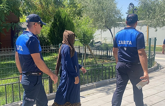 Dilencilere yönelik denetim