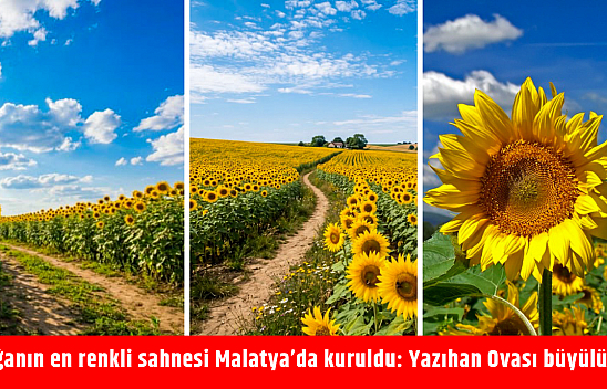 Doğanın en renkli sahnesi Malatya'da kuruldu: Yazıhan Ovası büyülüyor
