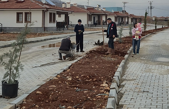 Doğanşehir'de konutlar tamamlandı! Sıra çevre düzenlemesinde…