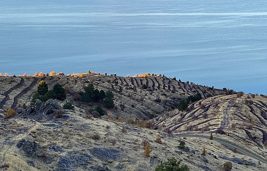 Malatya'da Yeşil Dönüşüm Başlıyor