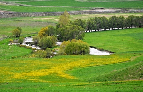 DAP Bölgesinde Yer Alıyor! Sivas'tan Iğdır'a, Malatya'dan Kars'a...
