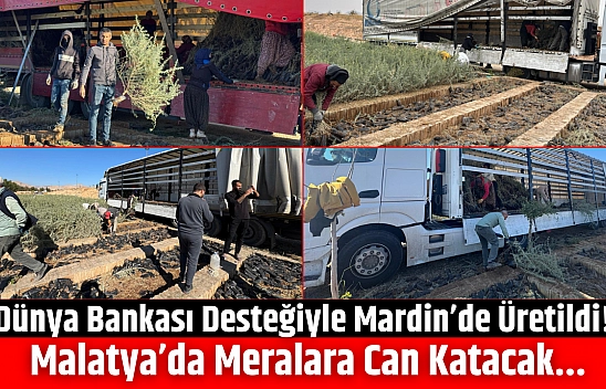 Dünya Bankası Desteğiyle Mardin'de Üretildi! Malatya'da Meralara Can Katacak...