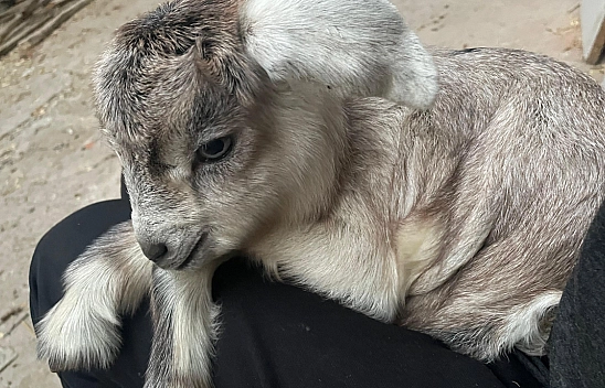 Dünya Bankası'ndan Malatya'ya Büyük Destek! Yatırımlar Hız Kazanıyor!