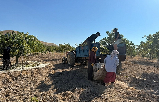 Düşük Fiyat Vatandaşı Bıktırdı