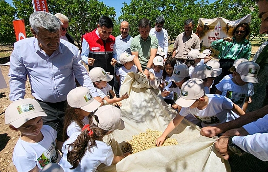 Dut hasadı başladı