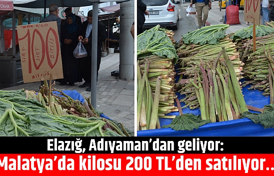 Elazığ, Adıyaman'dan geliyor: Malatya'da kilosu 200 TL'den satılıyor….
