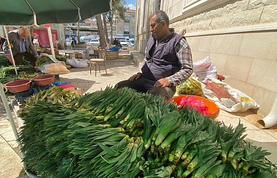 Elazığlılar çirişe doyacak