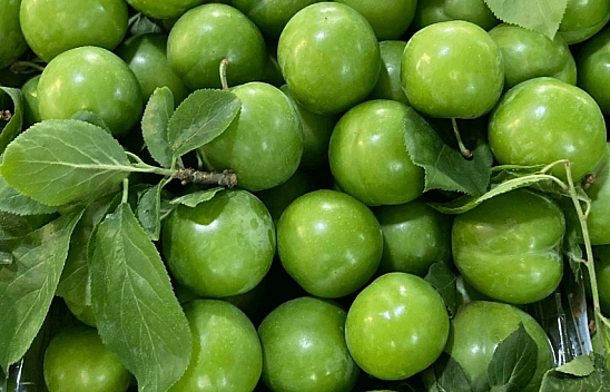 Erik tezgaha düştü!  İşte kilogram fiyatı...