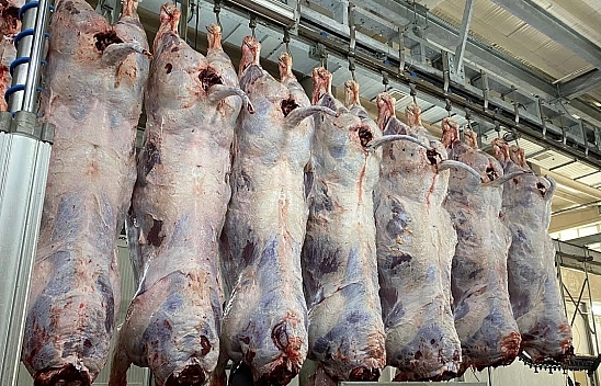 Et Fiyatlarındaki Düşüş Tüketiciye Yansımıyor! Aracılar Kazanıyor..