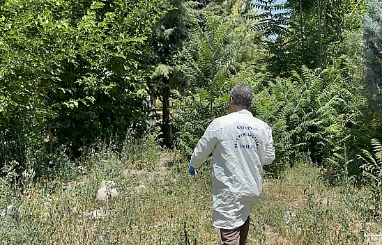 Malatya'da 71 yaşındaki adam ağaca asılı halde bulundu