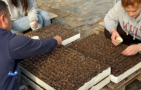 Malatya'da fide için tohumlar ekildi