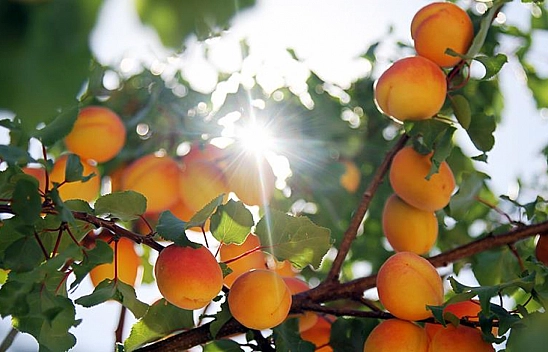 Forbes dergisi şehirlerin listesini güncelledi| Malatya zirveyi kaptırdı….