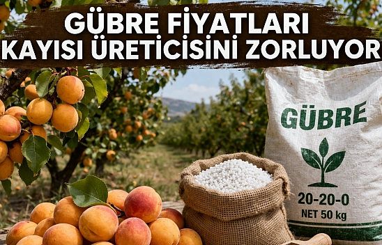 Gübre fiyatları kayısı üreticisini zorluyor