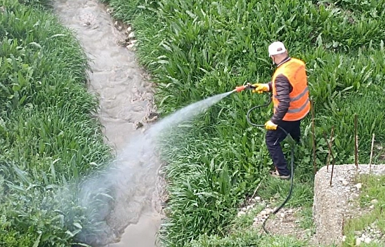 Haşerelere karşı ilaçlama çalışmaları başladı