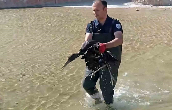 Malatya'da itfaiye yaralı leyleğin imdadına yetişti