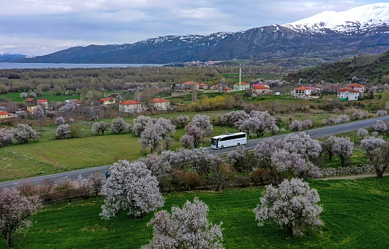 Hazar Gölü'nde badem çiçekleri ve karla kaplı dağlar aynı karede