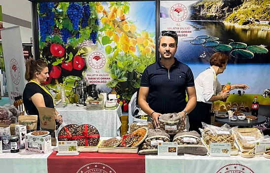 Hekimhan cevizi ve alıç sirkesi, Erzurum'da