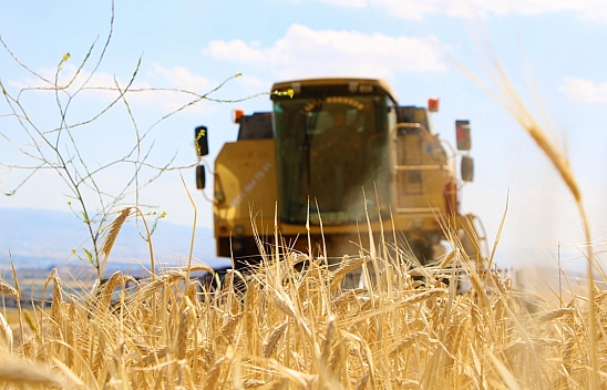 Hububat Üretiminde Rekor Kırılıyor
