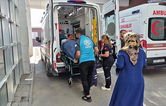 İncir toplarken ağaçtan düştü