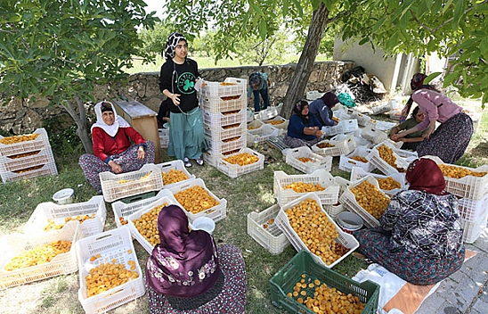 İşçi yevmiyesi belli oldu! Malatya Türkiye üçüncüsü oldu!