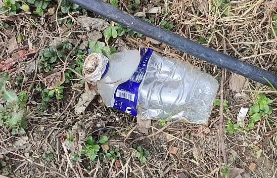 İstanbul'da hayrete düşüren görüntü