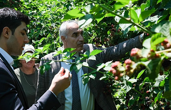 İstanbul'dan Göç Etti, Malatya'da Zenginleşti: Siparişlere Yetişemiyorlar!