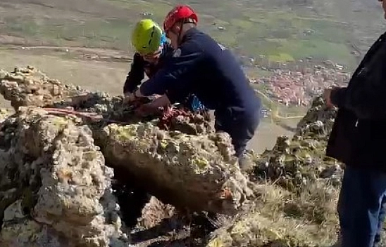 İtfaiyeden nefes kesen hayvan kurtarma operasyonu