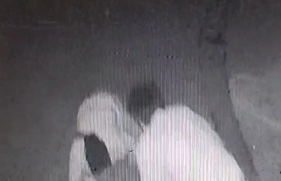 'Laf atma' cinayetinde görüntüler ortaya çıktı