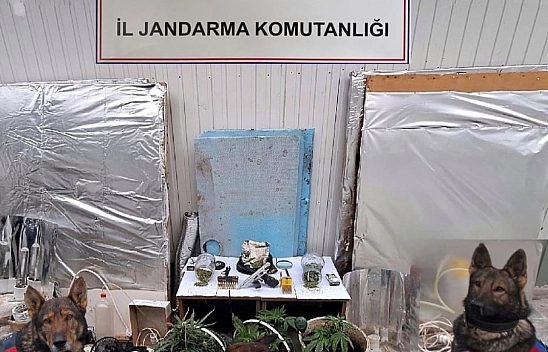 Jandarma'dan uyuşturucu operasyonu
