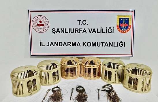 Kaçak keklik avcıları suçüstü yakalandı