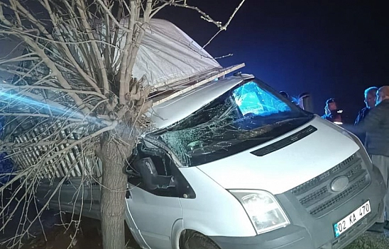 Kamyonet ağaca çarptı: 1 yaralı