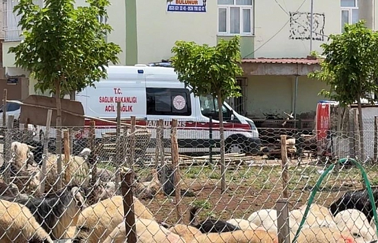 Kasaplardan bayram öncesi 'acemilik' uyarısı