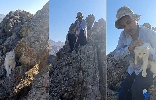 Kayalıklarda Mahsur Kalan Kedi Kurtarıldı