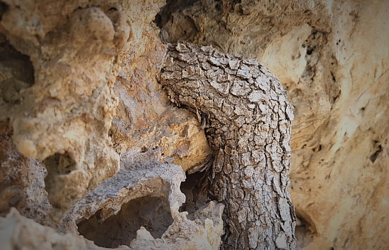 Kayayı 2 Metre Delen Gizemli Güç!