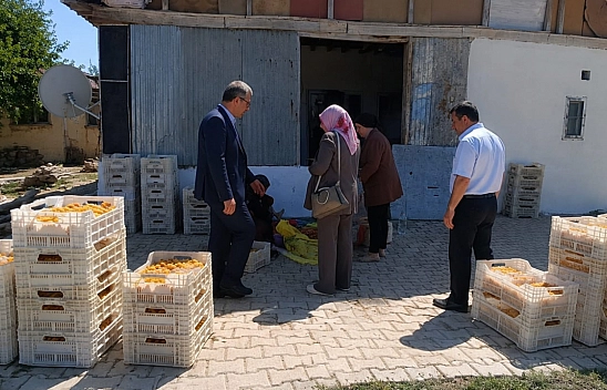 Kayısı tartışması büyüyor: BBP İl Başkanı Duman, asıl tehlilkeyi işaret etti!