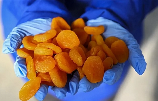 Kayısıda rekolte açıklanmayacaktı! Rakamları sızdırdılar… Sorumlusu kim?