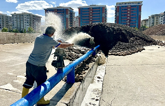 Kayısından yüzü gülmeyen üreticinin imdadına yetişti: Malatya için büyük nimet!
