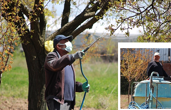 Kayısısı yanan Malatyalıların feryadı: 'Ne sigortamız var ne de gelirimiz!'