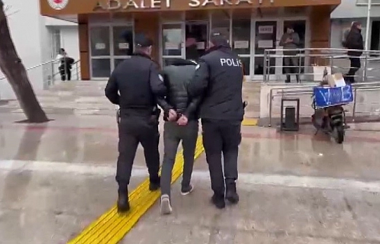 Kedi katili tutuklandı