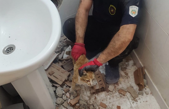 Kedi kurtarmak için tuvalet duvarını kırdılar!