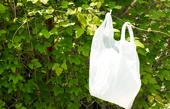 Komisyon Yarın Toplanıyor: Malatya'da Yeni Fiyat Ne Olacak?