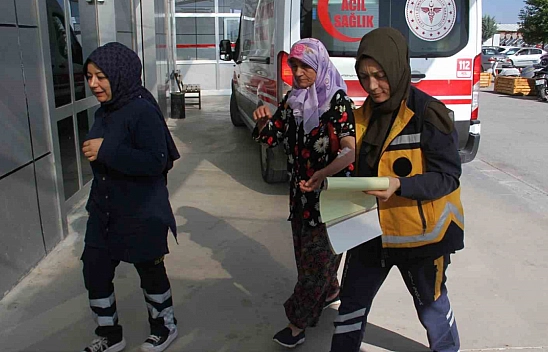 Başıboş köpekler dehşet saçıyor!