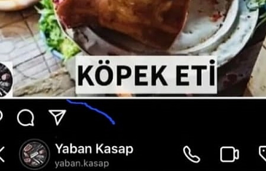 Bursa'da köpek eti mi satılıyor?