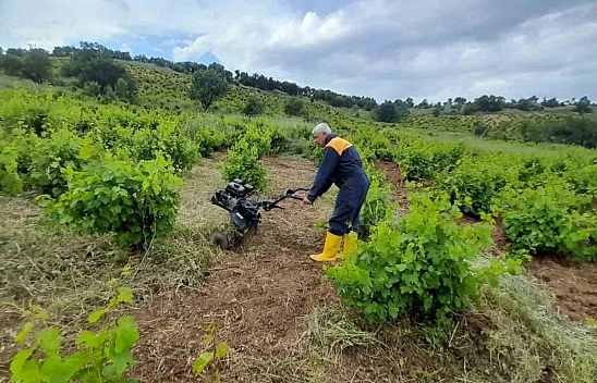 Diyarbakır'da yeni dönem!