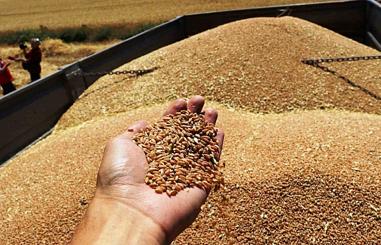 Kuraklığa rağmen rekoltede artış