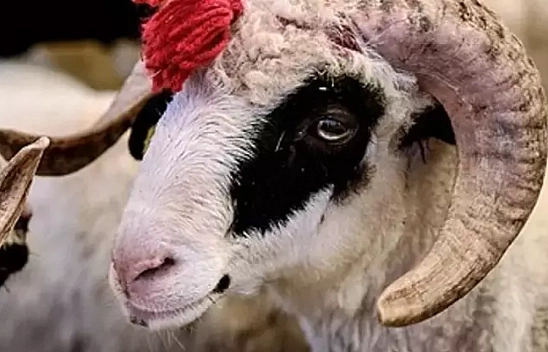 Kurban Bayramı tatili kaç gün olacak?