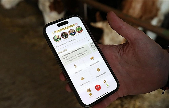 Kurbanlık almadan önce telefonunuza bu uygulamayı indirin!