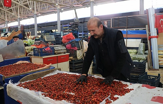 Kuşburnu hasadı başladı