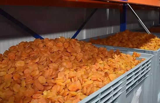 Malatya Artık Sadece Kayısı İle Anılmayacak! 